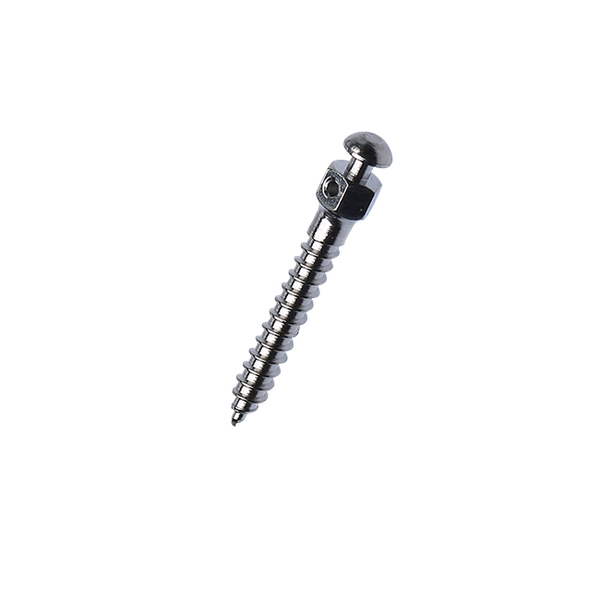 Orthodontic Implants China