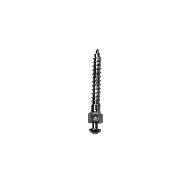 Orthodontic Mini Screw for Orthodontic Implant – Sino Ortho Limited, Anchorage Systems