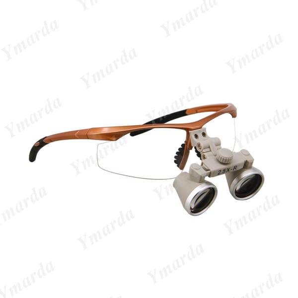 SH2.5X Loupes SH250
