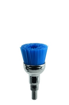 Prophy Color Brush weich