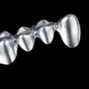 Castorit powder