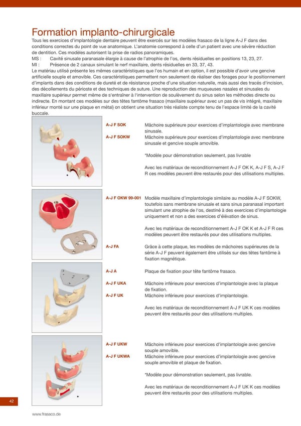 A-J F SOK Implantat-Modell Oberkiefer mit Sinus