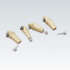A-3 ZEB Einzelzähne der Serie A-3 ZEB für Modell A-8