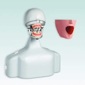 P-6/3 TSE Dental-Übungsgerät – Frasaco, Demomodelle
