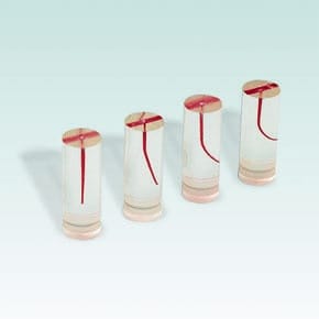 A-ETEL Endodontisches Trainingsmodell (verlängerte Länge, 4er-Set)
