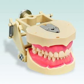 ANA-4 V DAV Demonstration Articulator with Transparent Gingiva