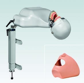 P-6/5 TL OM Grand Torse P-6/5 avec Modèle – Frasaco, Treatment Units