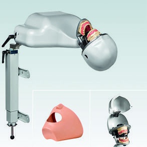 PK-2 TL OM Torso-Tischeinheit PK-2 (ohne Modell)