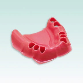 AG-3 TWUK 231 Mandibule partiellement dentée en cire