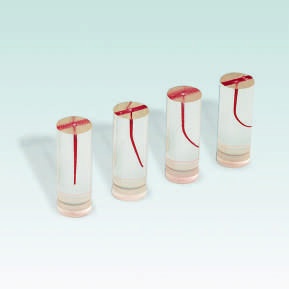 A-ETE-10 Endodontisches Trainingsmodell