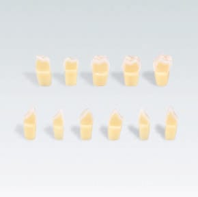 AG-3 ZSD. 300 Two-Layer Tooth – Frasaco, Gypsum Additives, Die Hardeners and Plaster Removers