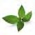 Xylitol Chewing Gum Peppermint 30pcs