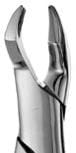 88L Nevius Forceps, 1st & 2nd Upper Molars