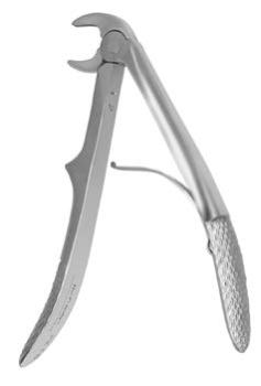 1C Forceps Pédiatrique Style Européen Kinder, Incisives Inférieures