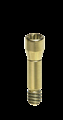 BL NC Abutment zementierbar 0° parallel GH 2,0 mm H 6,0 mm