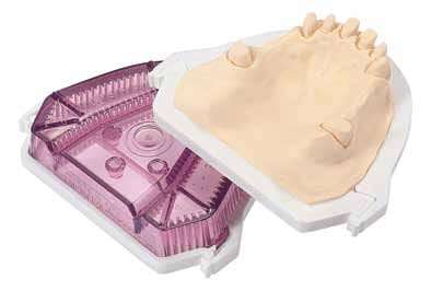 model-tray Quarter (avec Retentionsstecker inclus) – model-tray, Articulators and Accessories