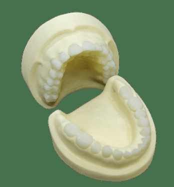 Radiology Training Jaws – Navadha Enterprises, Gypsum Additives, Die Hardeners and Plaster Removers