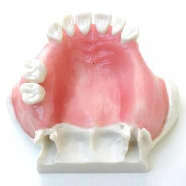 Modèle de sinus lift avec gencive souple