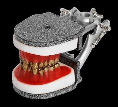 Kieferorthopädischer Typodont mit Metallzähnen – Navadha Enterprises, Diagnostik