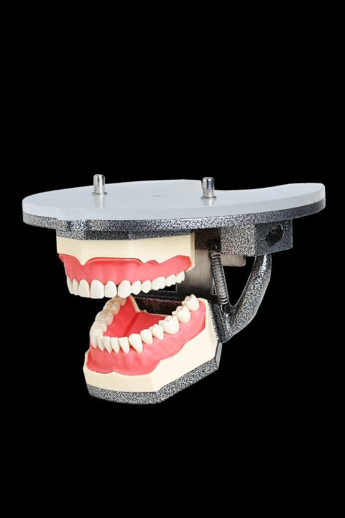 Advanced Magnetic Articulator – Navadha Enterprises, Articulators and Accessories
