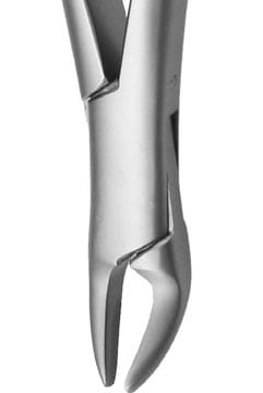 Root Forceps Witzel
