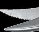 MICRO Scissors, micro serrated, curved – Schwert, Scissors & Needle Holders