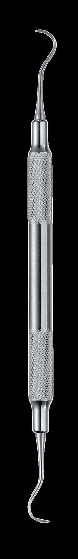 Scaler H6/H7 Standard