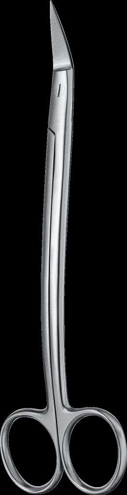 Pince à champ Jones 13 cm