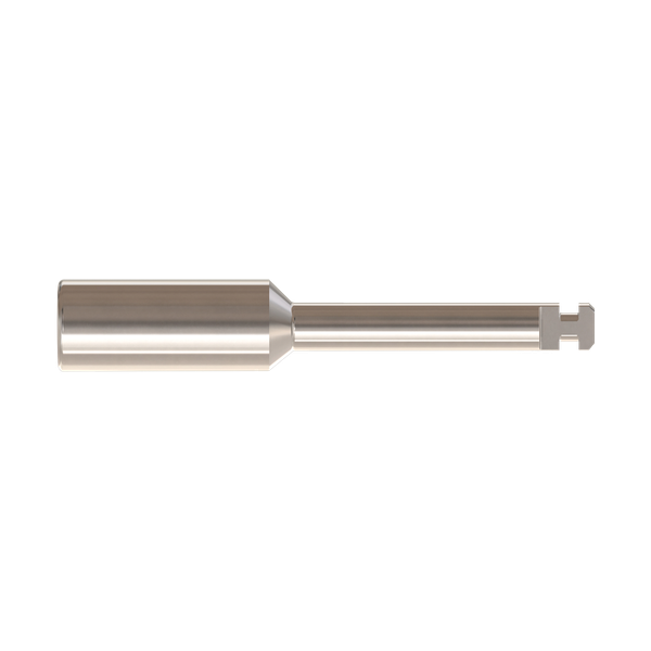 Einbringhilfe IT2W