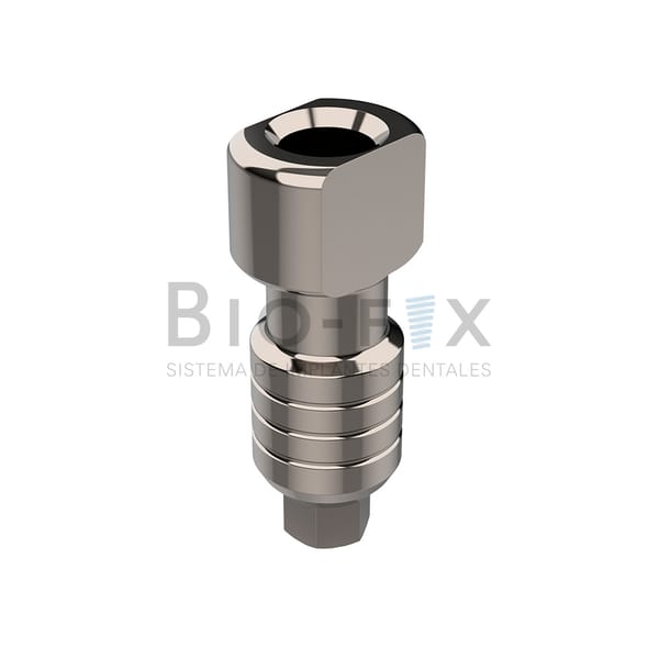 Transfer y Tornillo