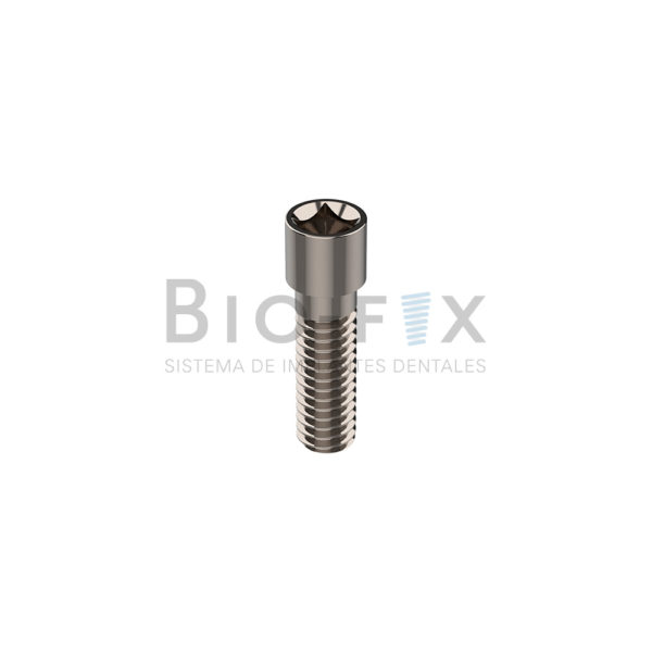 Tornillo protético – Grado Cuatro S.R.L, Implant Components & Abutments