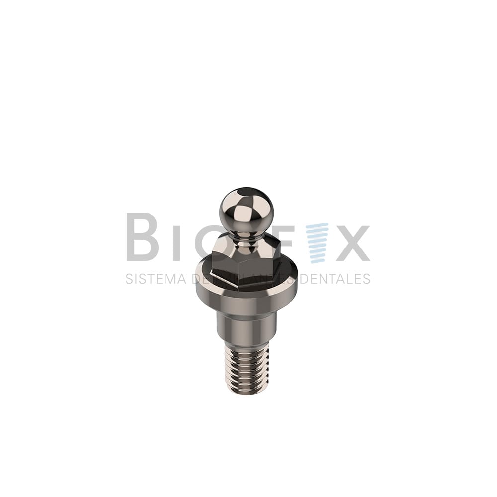 Ball attached y Cazoleta c/o-ring – Grado Cuatro S.R.L, Abutments