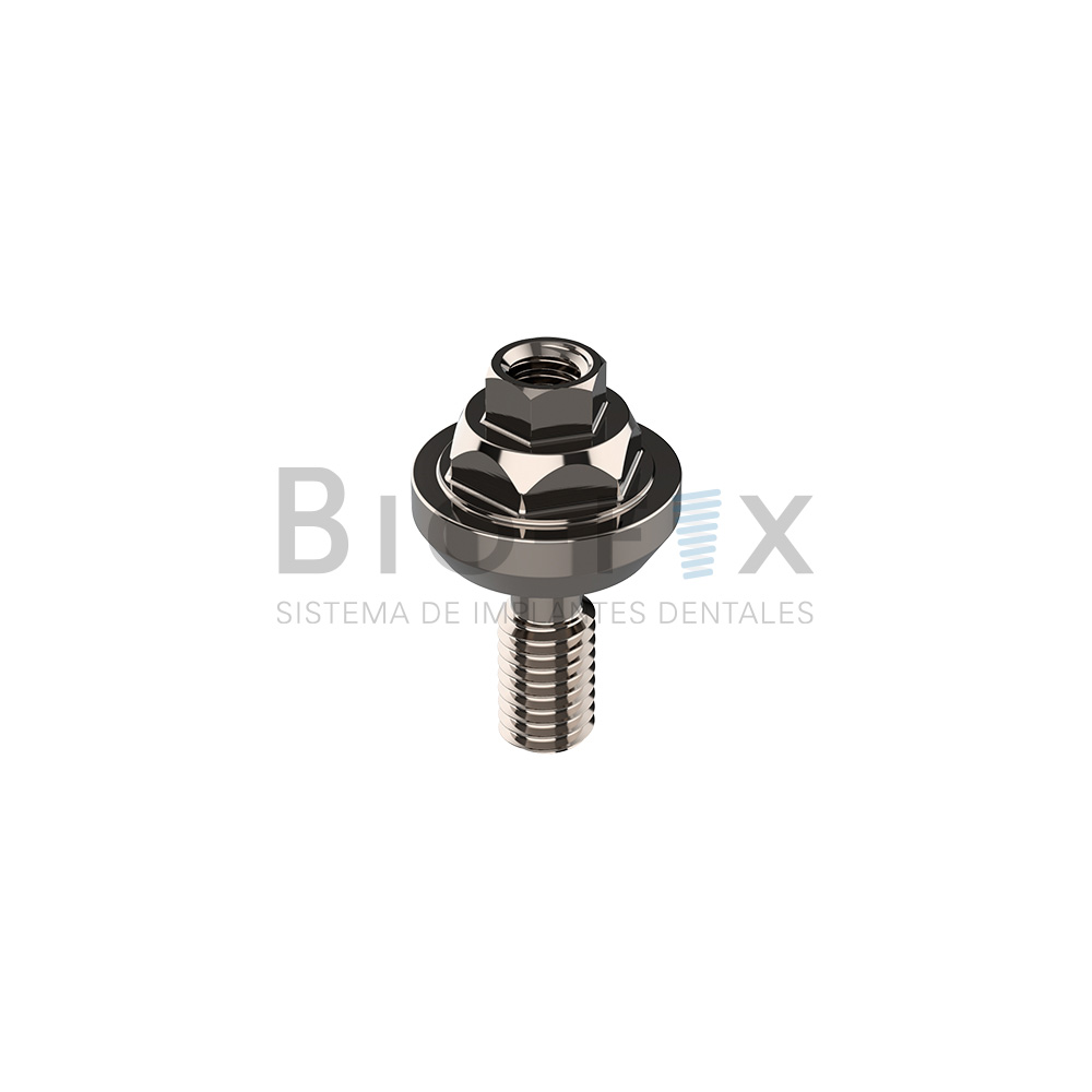 Minipilar Hexágono Externo – Grado Cuatro S.R.L, Implant Components & Abutments