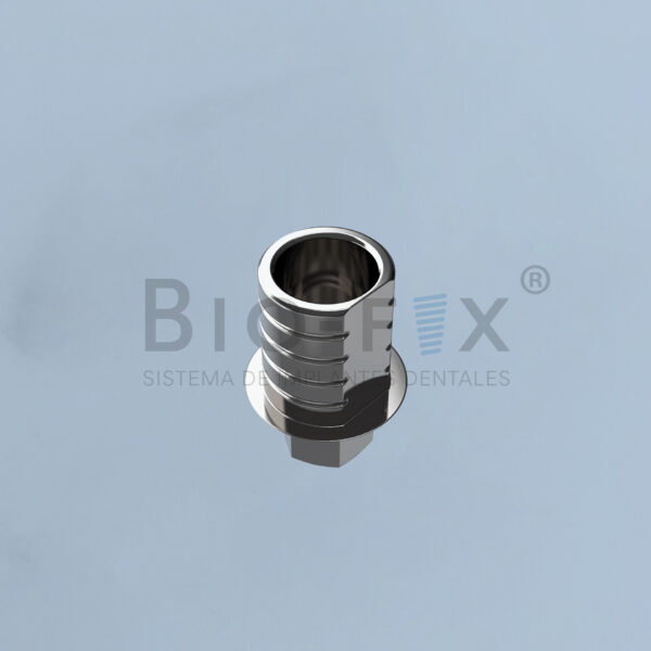 Ti-Base y Tornillo – Hexágono Interno – Grado Cuatro S.R.L, Implant Components & Abutments