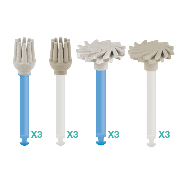 Polish HD assorted polishers (3 Brush + 3 Twist) – ITENA Clinical, Polishers