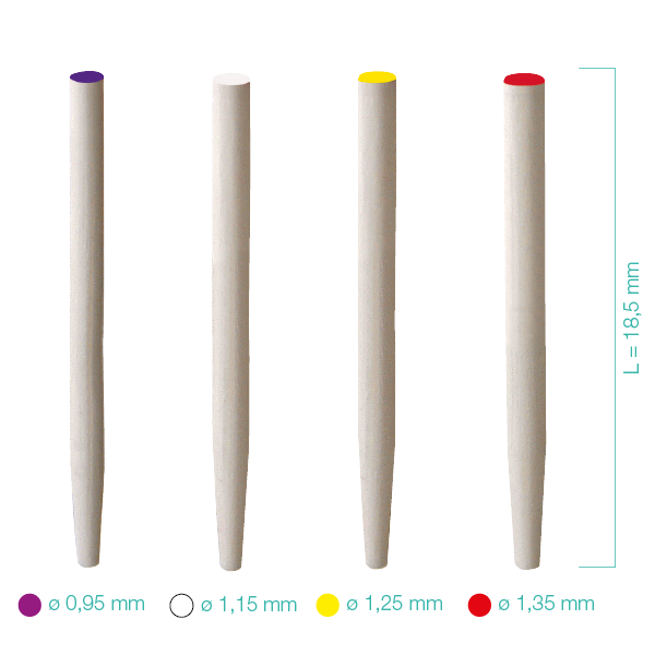 Dentoclic Fiberglass posts
