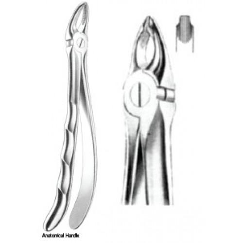 Zahnzangen Fig. 34 – J+K Chirurgische Instrumente GmbH, Extraction Forceps