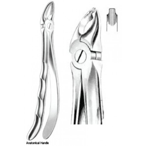 Zahnzangen Fig. 35 – J+K Chirurgische Instrumente GmbH, Extraction Forceps