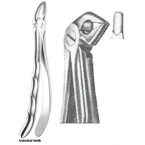Zahnzangen Fig. 56 – J+K Chirurgische Instrumente GmbH, Extraction Forceps