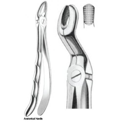 Zahnzangen Fig. 67A