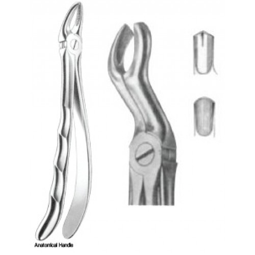 Zahnzangen Fig. 67L – J+K Chirurgische Instrumente GmbH, Extraction Forceps