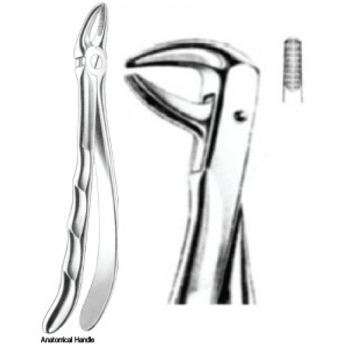 Zahnzangen Fig. 75 – J+K Chirurgische Instrumente GmbH, Extraction Forceps
