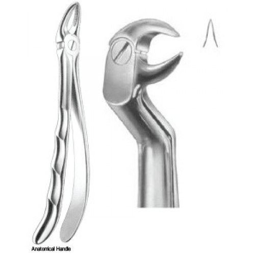 Zahnzangen – J+K Chirurgische Instrumente GmbH, Extraction Forceps