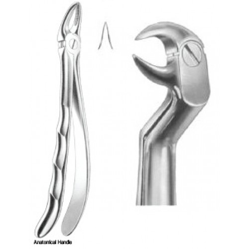Zahnzangen – J+K Chirurgische Instrumente GmbH, Extraction Forceps