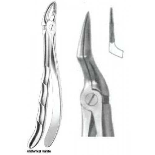 Zahnzangen Fig. 151 – J+K Chirurgische Instrumente GmbH, Extraction Forceps