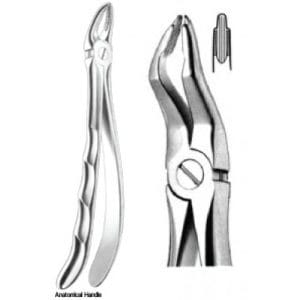 Zahnzangen Fig. 30 – J+K Chirurgische Instrumente GmbH, Extraction Forceps