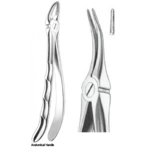 Zahnzangen Fig. 149 – J+K Chirurgische Instrumente GmbH, Extraction Forceps
