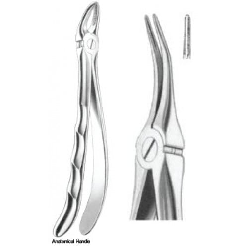 Zahnzangen Fig. 149 – J+K Chirurgische Instrumente GmbH, Extraction Forceps