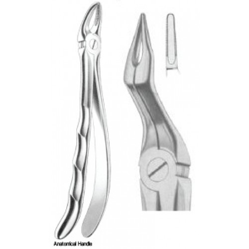 Zahnzangen Fig. 897 – J+K Chirurgische Instrumente GmbH, Extraction Forceps