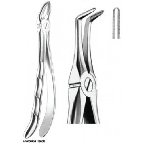 Zahnzangen Fig. 146 – J+K Chirurgische Instrumente GmbH, Extraction Forceps